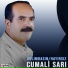 Cumali Sarı