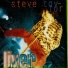 Steve Taylor