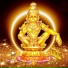 Nagaraj Narayana Bhat