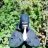 D1SeaSe