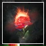 Fluencee feat. Drowsy