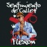 Flexon feat. Chokito