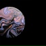 LYSERGICACIDBOY