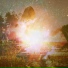 Sun Opus
