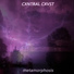 CXNTRAL CXVST