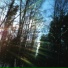 nevu