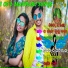 BAPI &AMBIKA