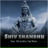 Ritik Choudhary, Shan Dhiman