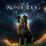 Music-to-Relax-Dogs