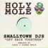 Smalltown DJs