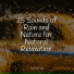 Entspannungsmusik, Música Zen Relaxante, Regen