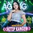 Niken Salindry feat. Ageng Music