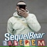 SequelBear