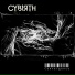 Cyb1rth
