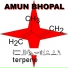 Amun Bhopal
