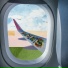 Winglets