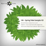 Slang & Technodreamer