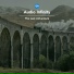 Audio Infinity