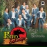 Potro Salvaje