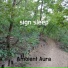 Ambient Aura