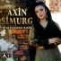 Axin Simurg