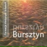 Formacja Niezywych Schabuff