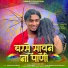 Bhaiyasaheb More