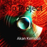 IP Project