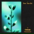Estiva