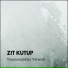 Zıt Kutup