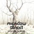 Meadow Street
