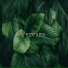 Paskall feat. ACE DE JOKER, Om'Pa, Bradley
