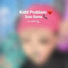 Kidd Problem