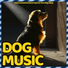 Relax My Dog, Dog Music Dreams