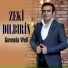 Zeki Dıbirin