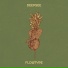 Flowtype