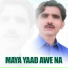 Tanveer Anjum