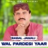 Babal Jamali
