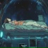 lst drm, Lofi Koji