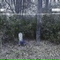 Deergod