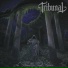 Tribunal