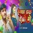 Vivek Yadav