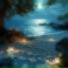 Lior Selwyn