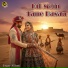 N Sonu
