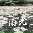 张松岩