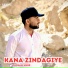 Hussain Aseer