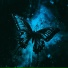 Iriser, Stefre Roland, Anexia feat. Ornimental