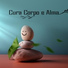 Academia de Meditação Buddha
