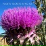 Plant House & Garden