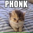PHONK OMG
